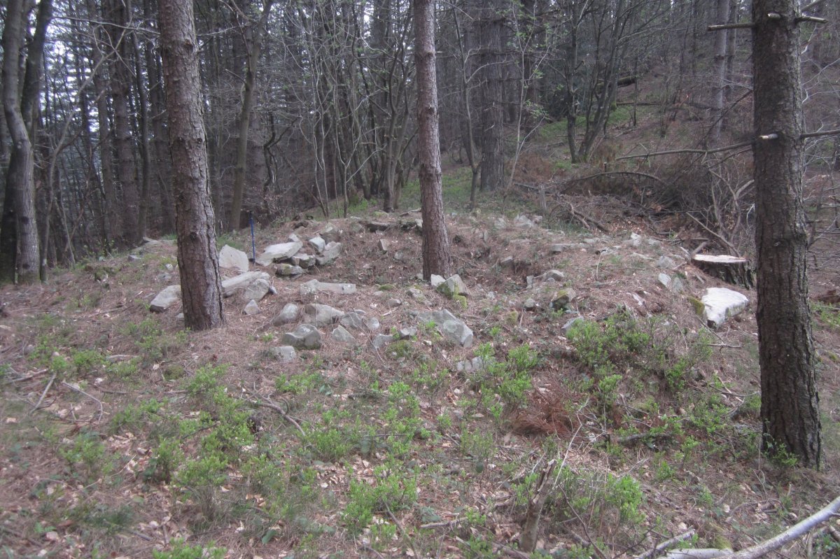 Túmulo Lizarmendi (Marzo 2021)