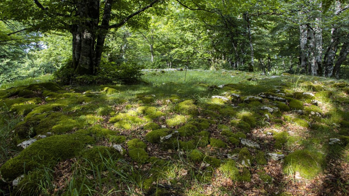 Senda de Arroniz eraztun tumulua