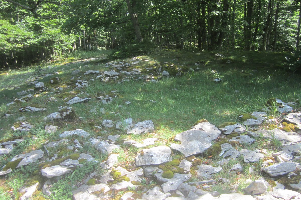 Túmulo Anular Senda de Arroniz (Junio 2021)