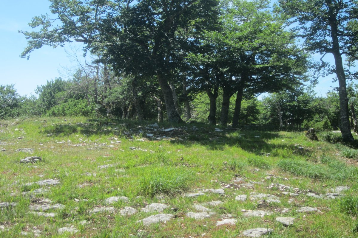 Túmulo Anular Alto de Basazelaia  (Junio 2021)