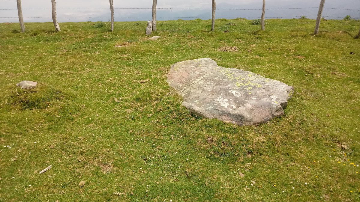 Argibel zutarria (2021)