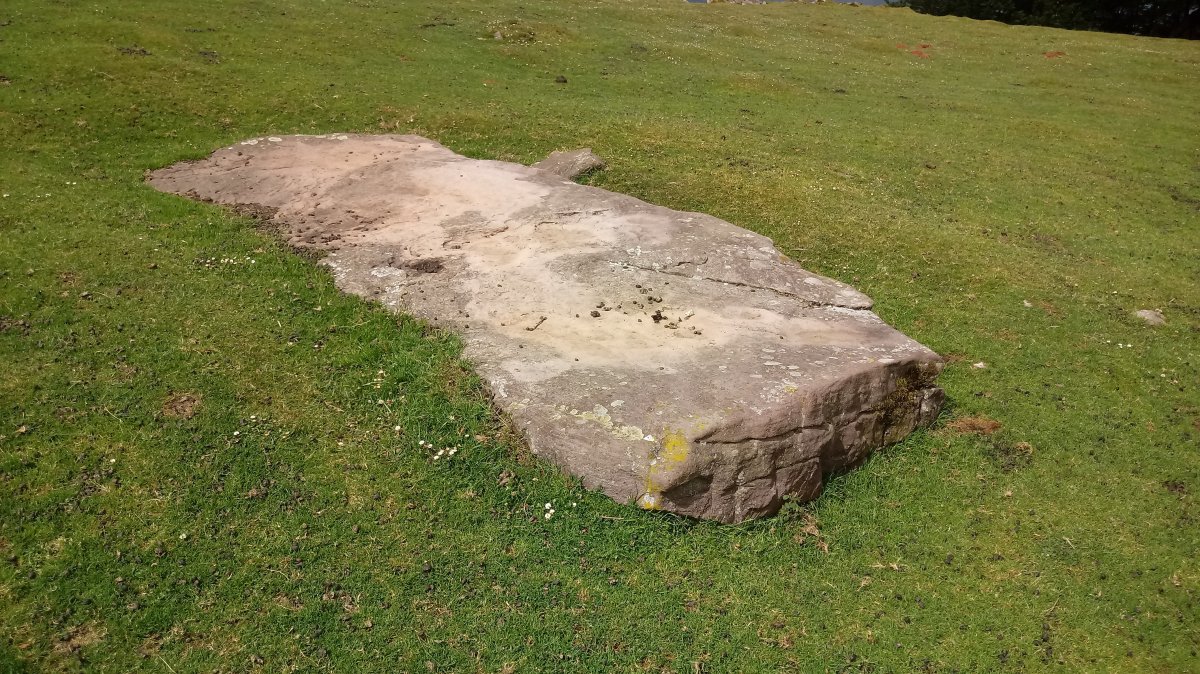 Larrebeltz zutarria (2021)