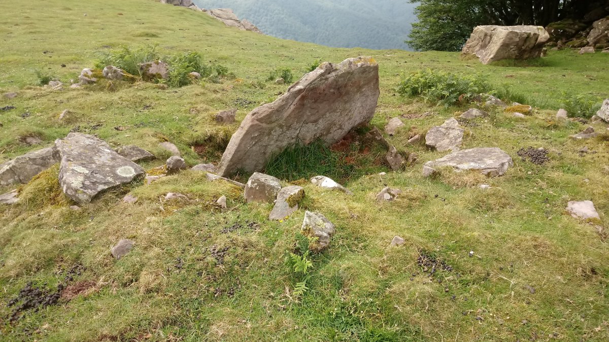 Larrebetz I trikuharria