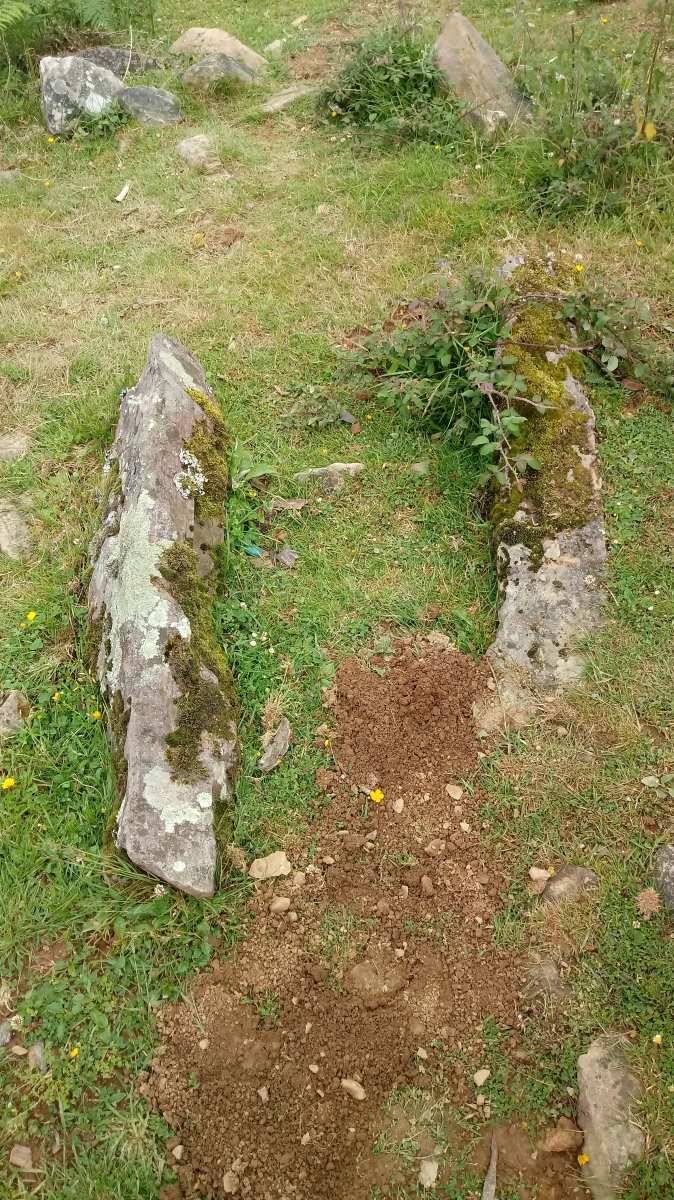 Tranpako borda trikuharria