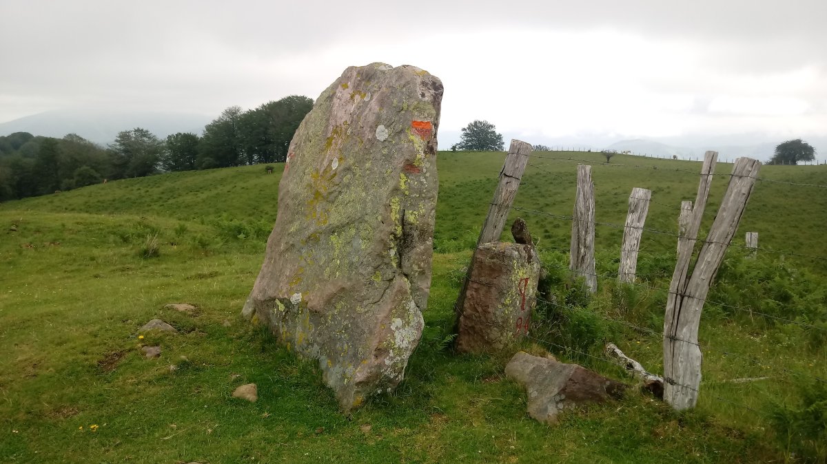 Autrin trikuharria (2021)