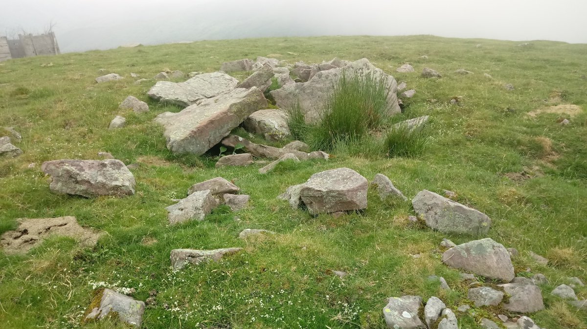 Luurzu I Erdi trikuharria