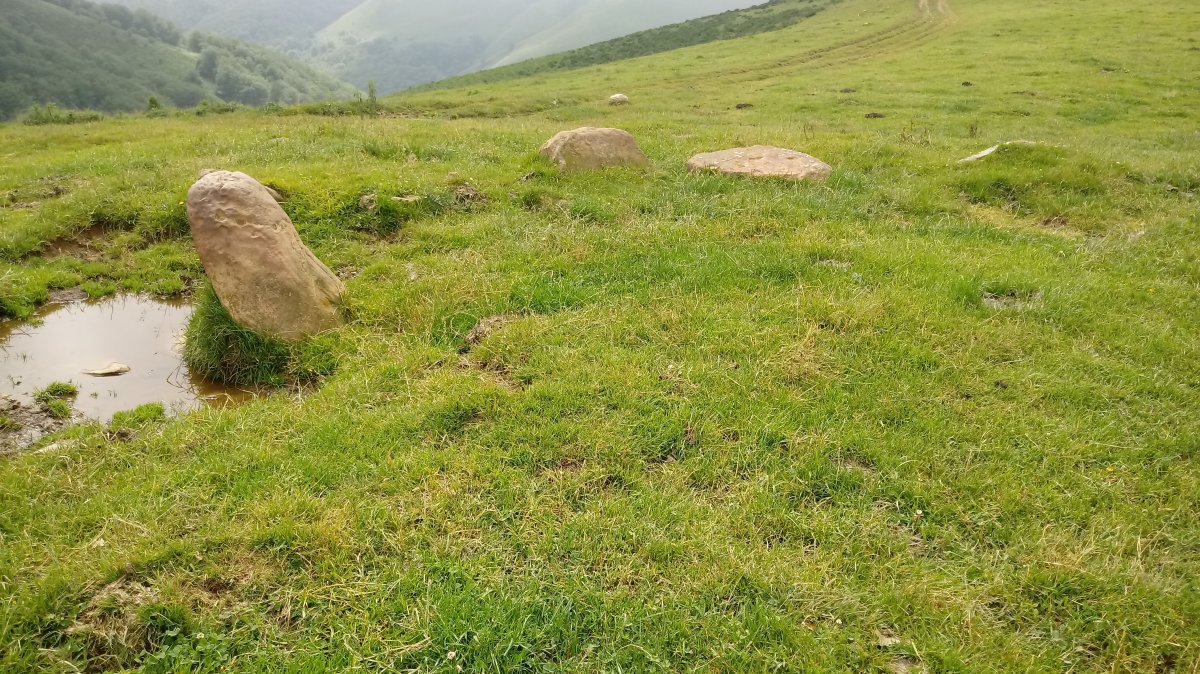 Oialegiko Lepoa harrespila