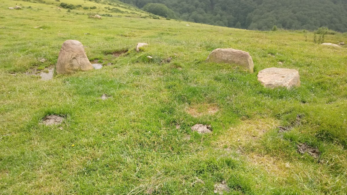 Oialegiko Lepoa harrespila (2021)