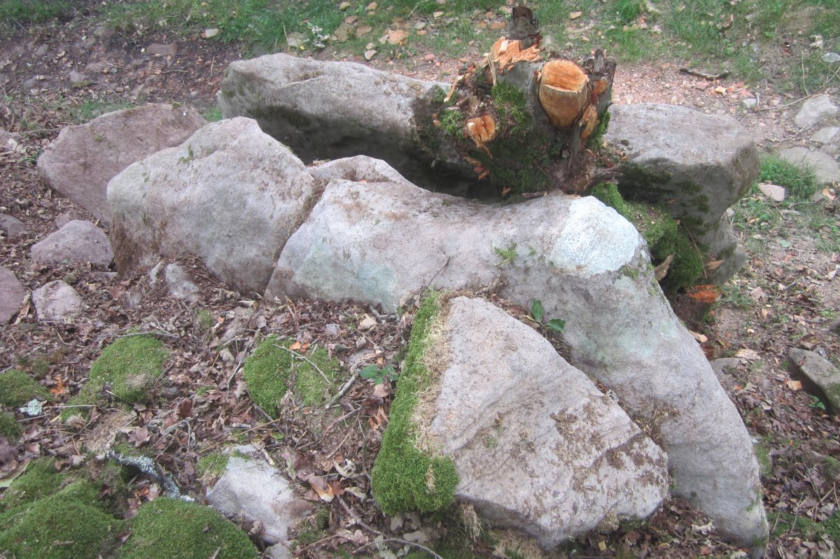 Dólmen Lizarrondo (Julio 2021)