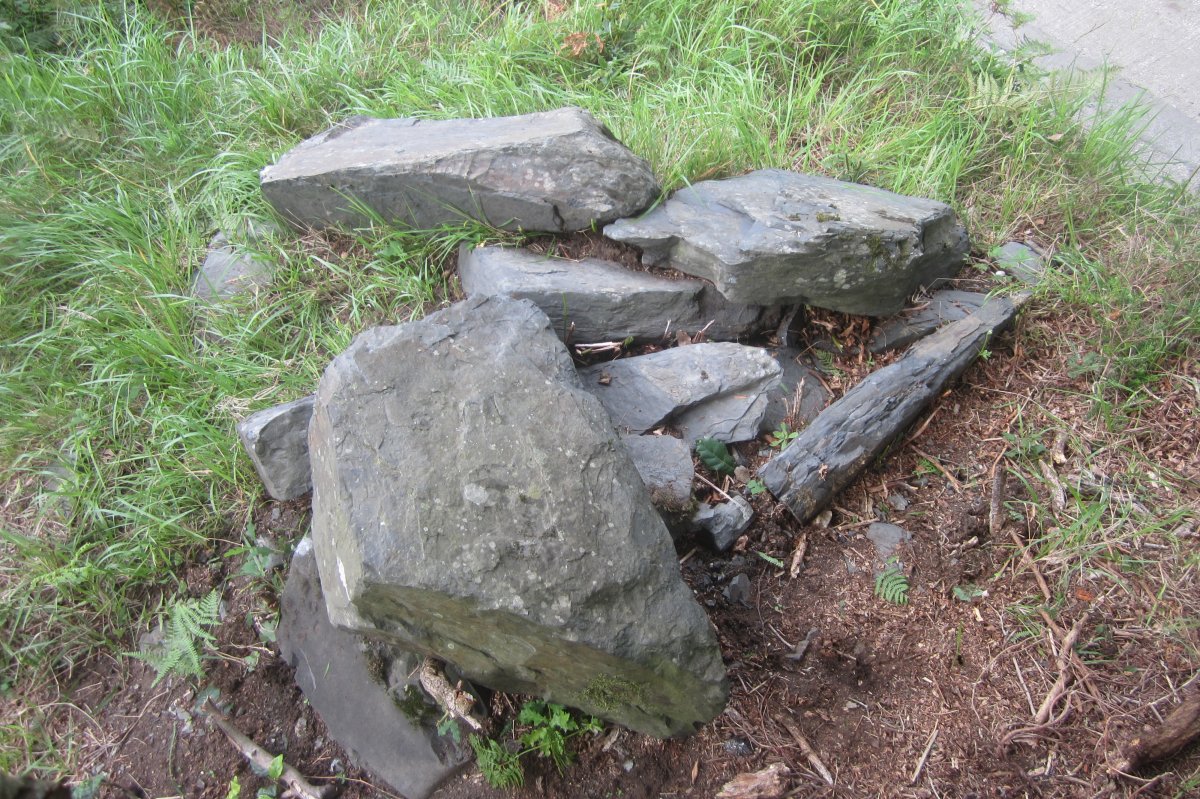 Cista Arbotante II  (Julio 2021)