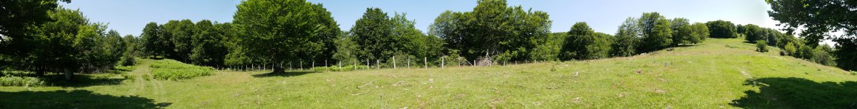 Mezeriaingo larreak, Aitzegigaña mendiaren mendebaldean