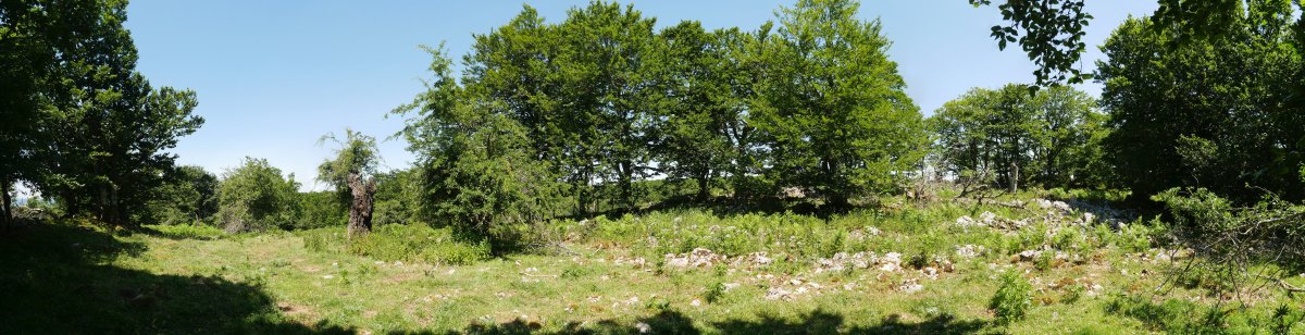 Aitzegigaña gailurra