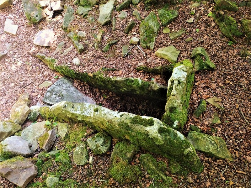 Miruatza Trikuharria