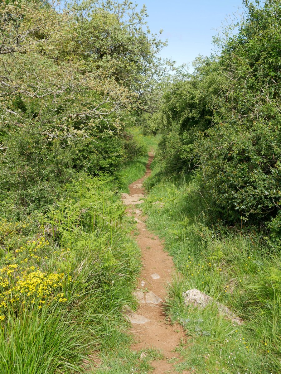 GR-9 bidea Aldatzetik gora