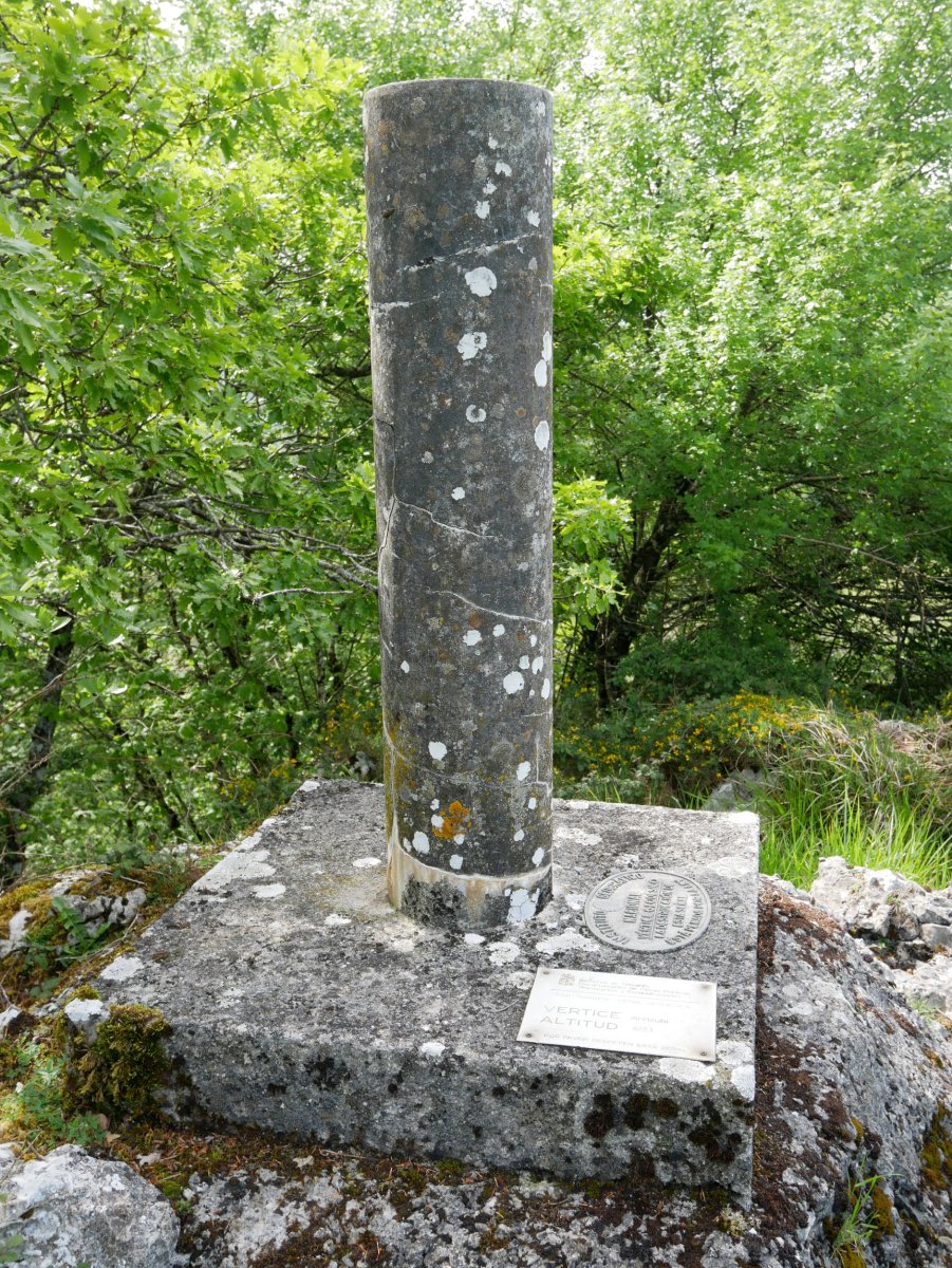 Erpin geodesikoa, Arrizuri