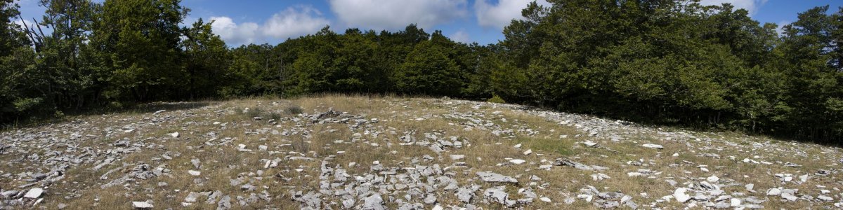 Akuetxiki eraztun tumuloa