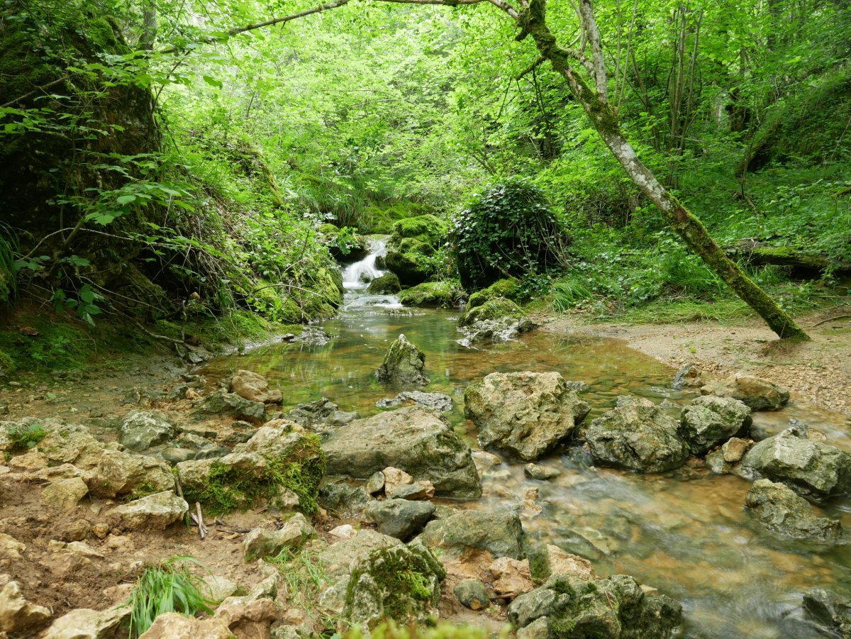 Erreka Erroitegi aldean