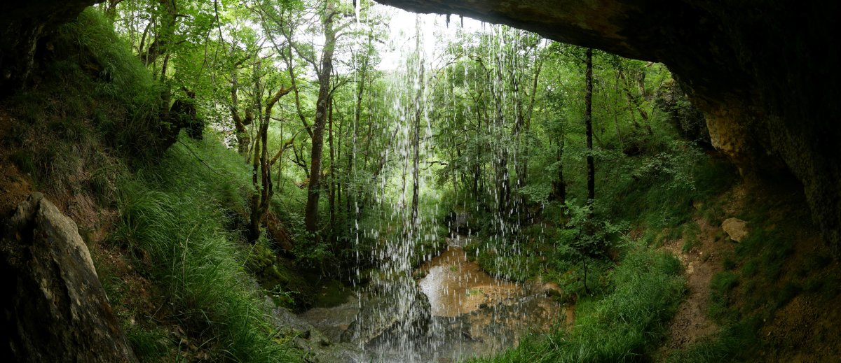 Beste ur jauzi bat bide bazterrean