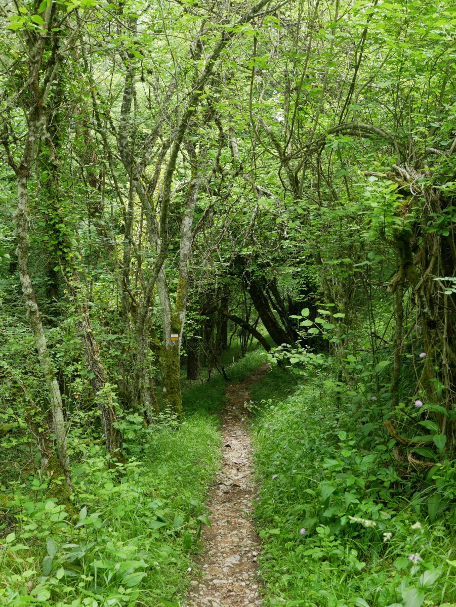 Bidea Igoroin herrira gerturatzen