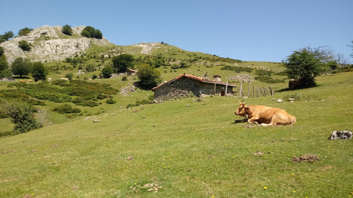 Zastegiko bordak Gatzarrieta azpian