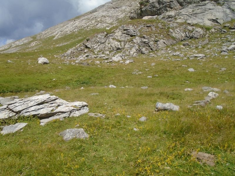 planas de lapazosa 2