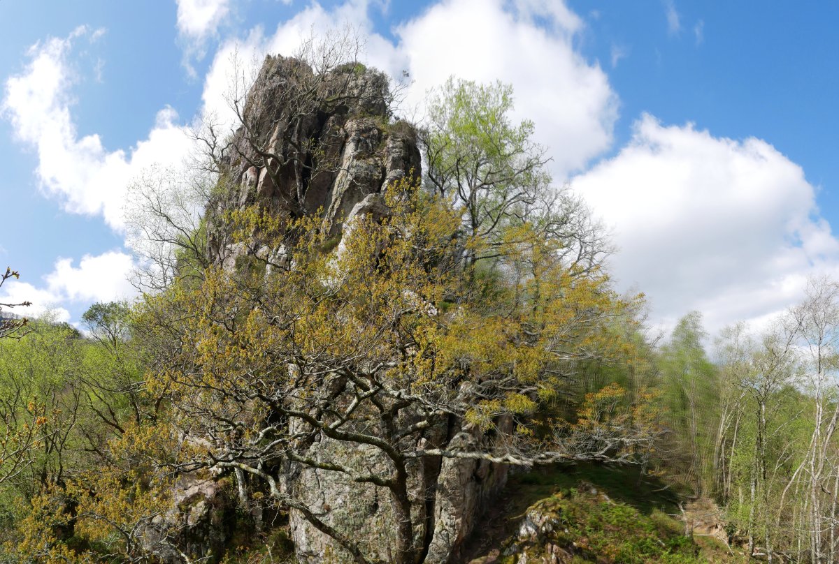 Ameraungo kanaleko bidea gandorrera igotzen denekoa
