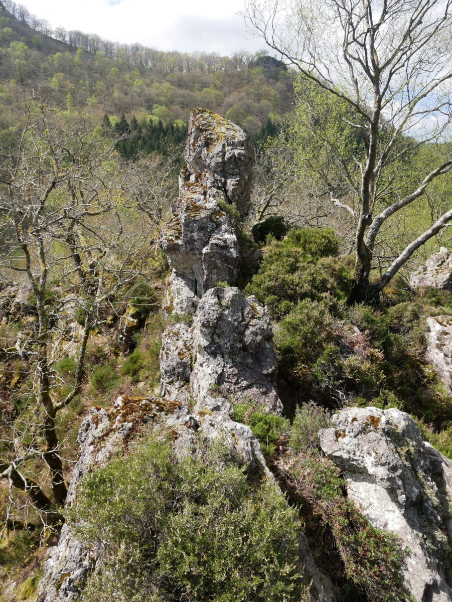 Beste harkaitz nabarmen bat gandorrean