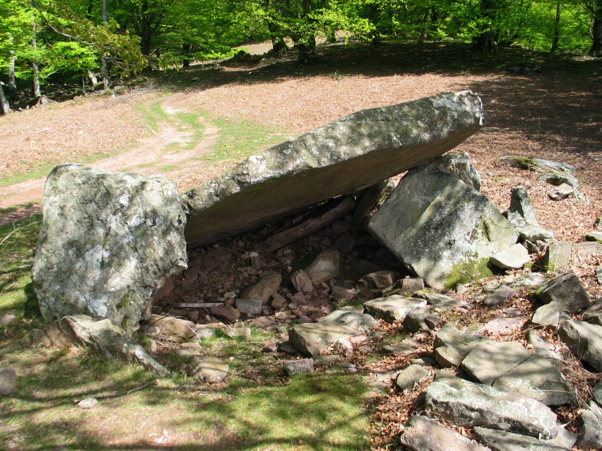 Errolan  trikuharria 2005