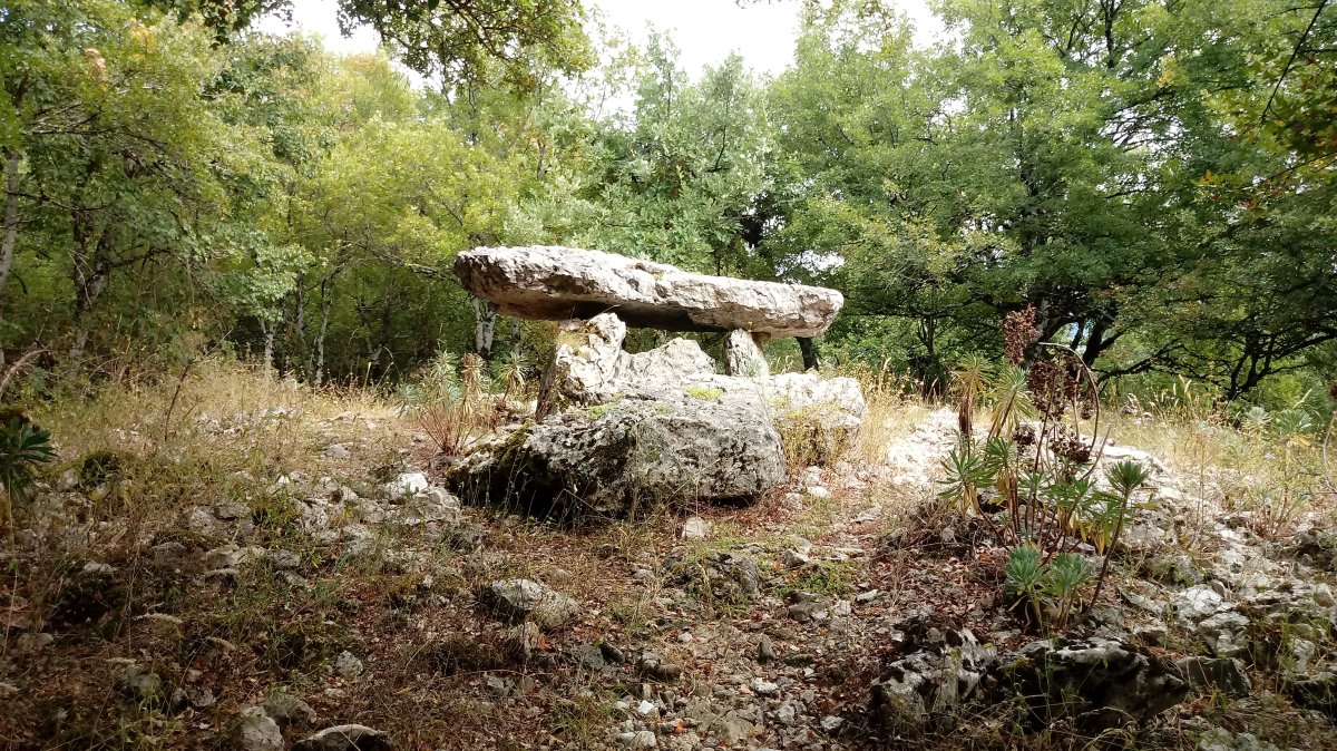 Artzabal trikuharria