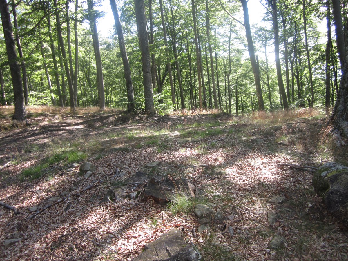 Dólmen Auntzetxe  (Julio 2013)