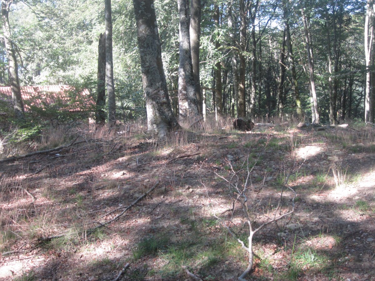 Dólmen Auntzetxe  (Julio 2013)