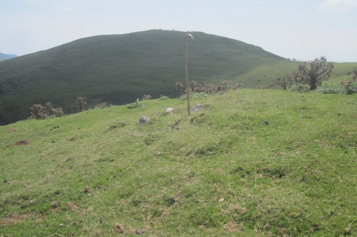 Túmulo Beardegiko Gaña II (Agosto 2021)