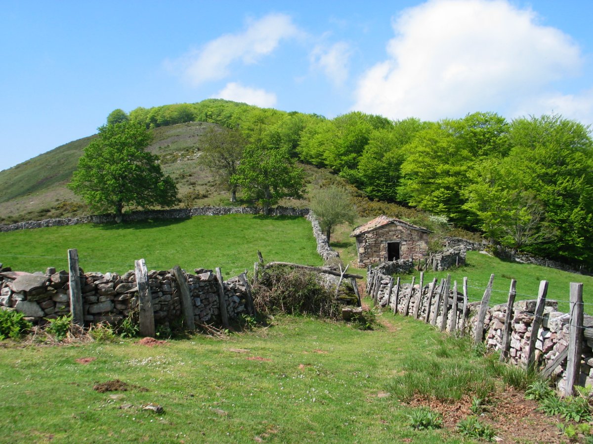 Harresiak eta borda Basagar aldeko igoeran
