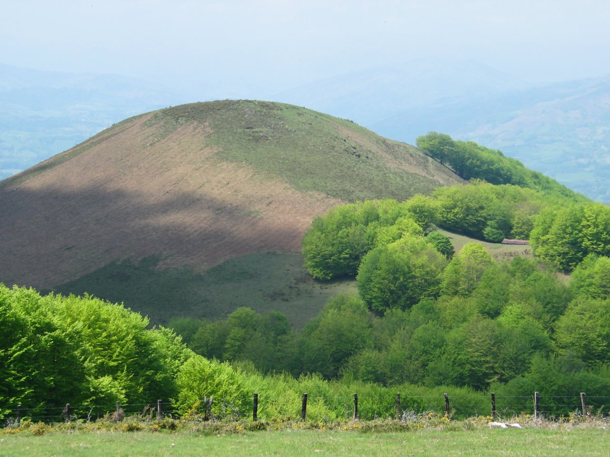 Maulitx Soralar aldetik