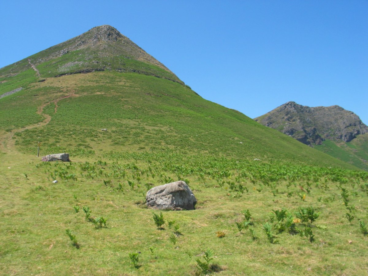 Buztanzelaiko lepotik