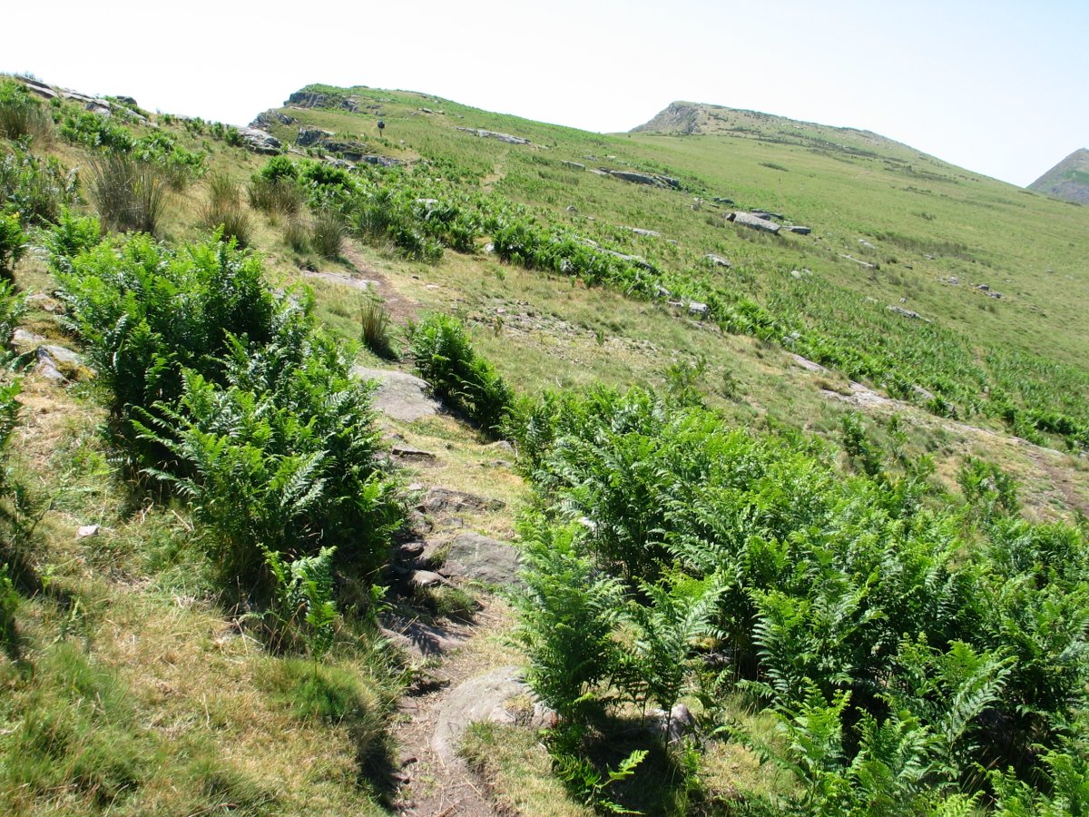 Bidea Mendebaldeko isurialdean barrena