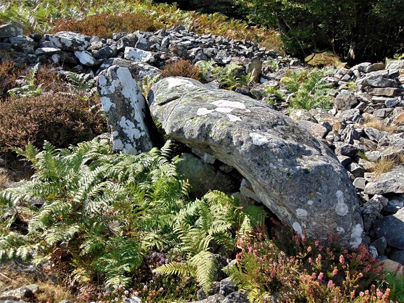 Arrobigaña Trikuharria