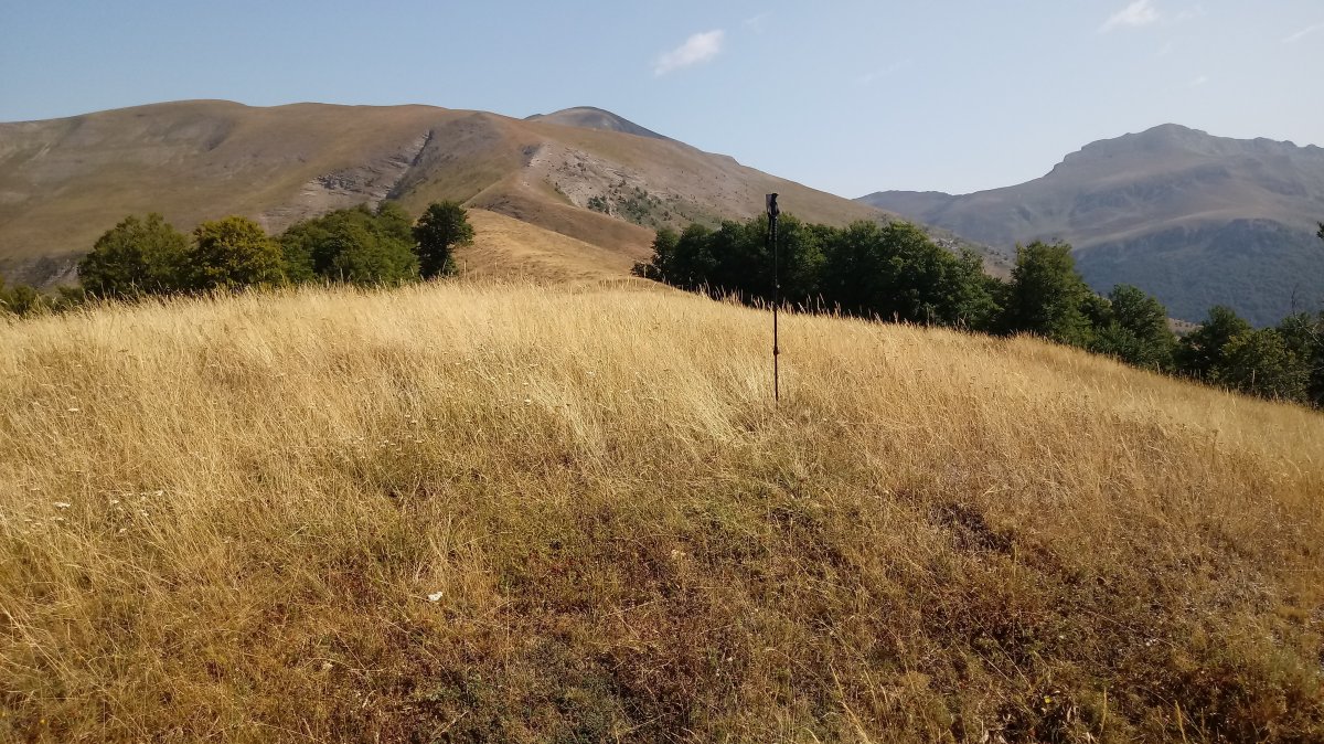 Burgi (1530m) tontorra