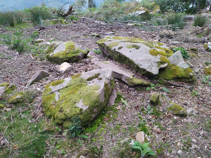 Bistarri Trikuharria