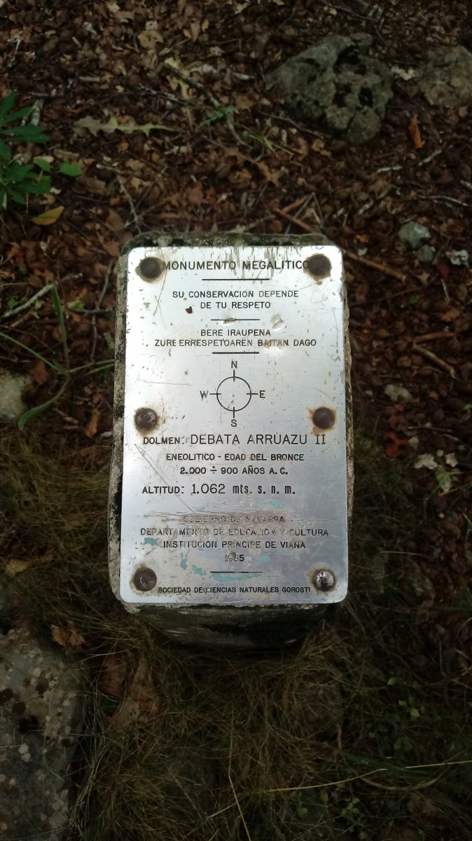 Debata Arruazu II trikuharria