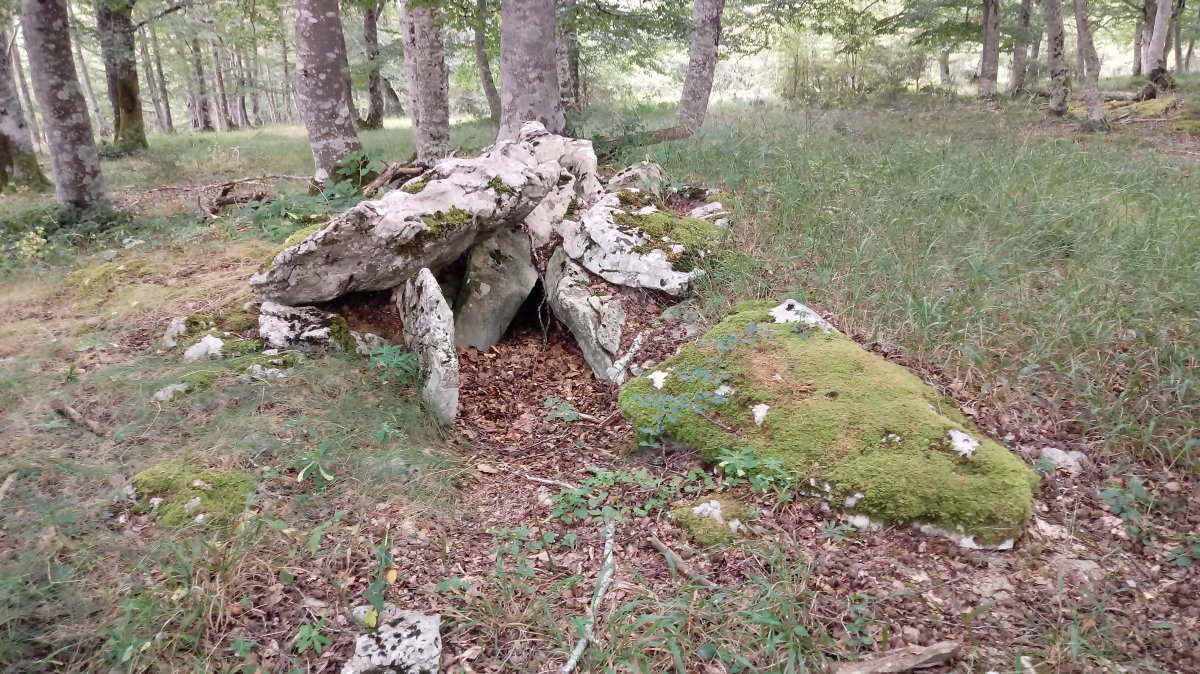 Debata Arruazu II trikuharria