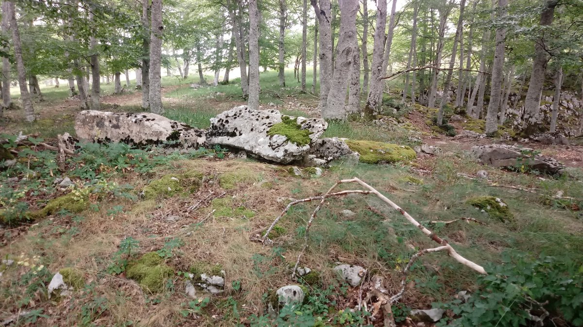 Debata Arruazu II trikuharria (2021)