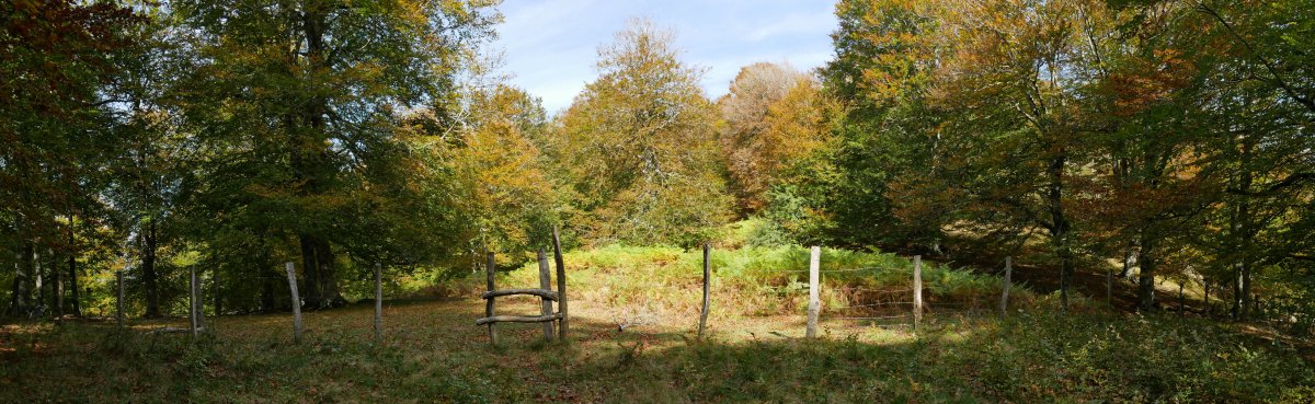 Kalelantegi lepoa. Oregigaña eta Puttarri artean