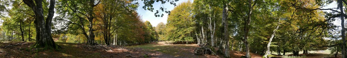 Tontorraren inguruak