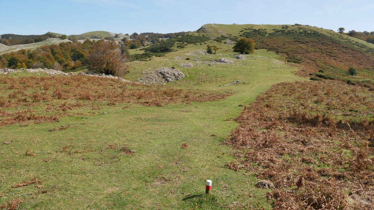 GRaren arrastoa eta Aparein.