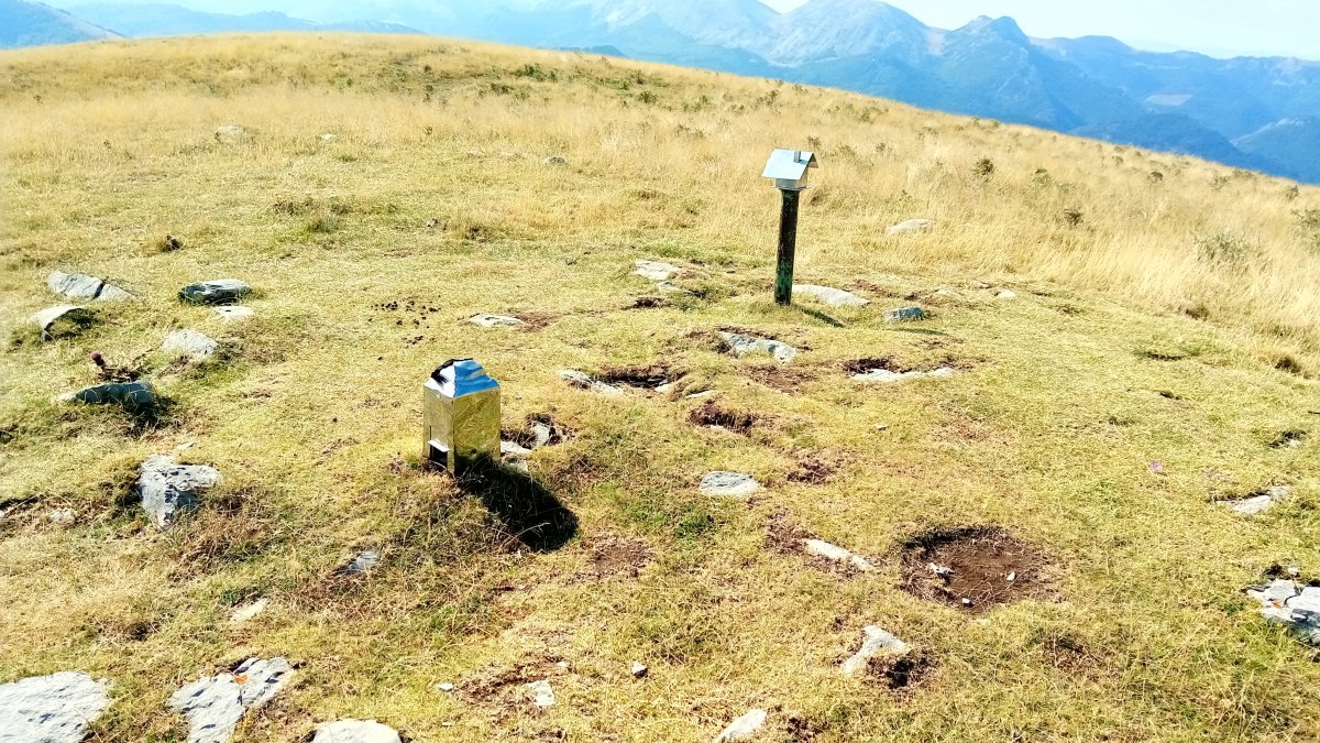 Larrondo (1703) tontorra