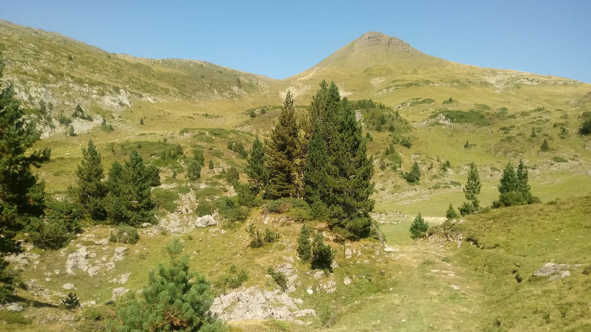 Arlas (2044m) Kontienda aldetik igotzen