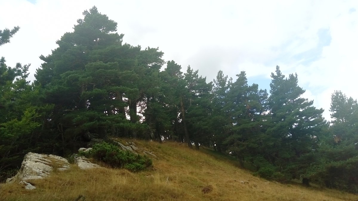 Igardakua (1499m) gainaldea