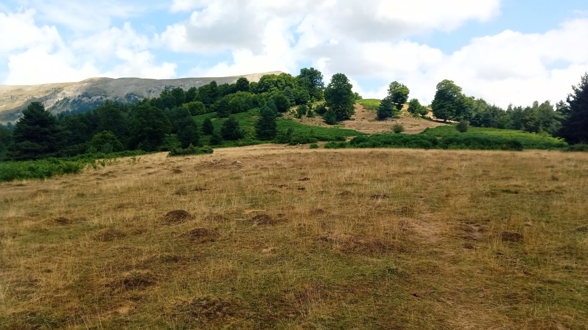 Iturruburua (1582m) inguruak