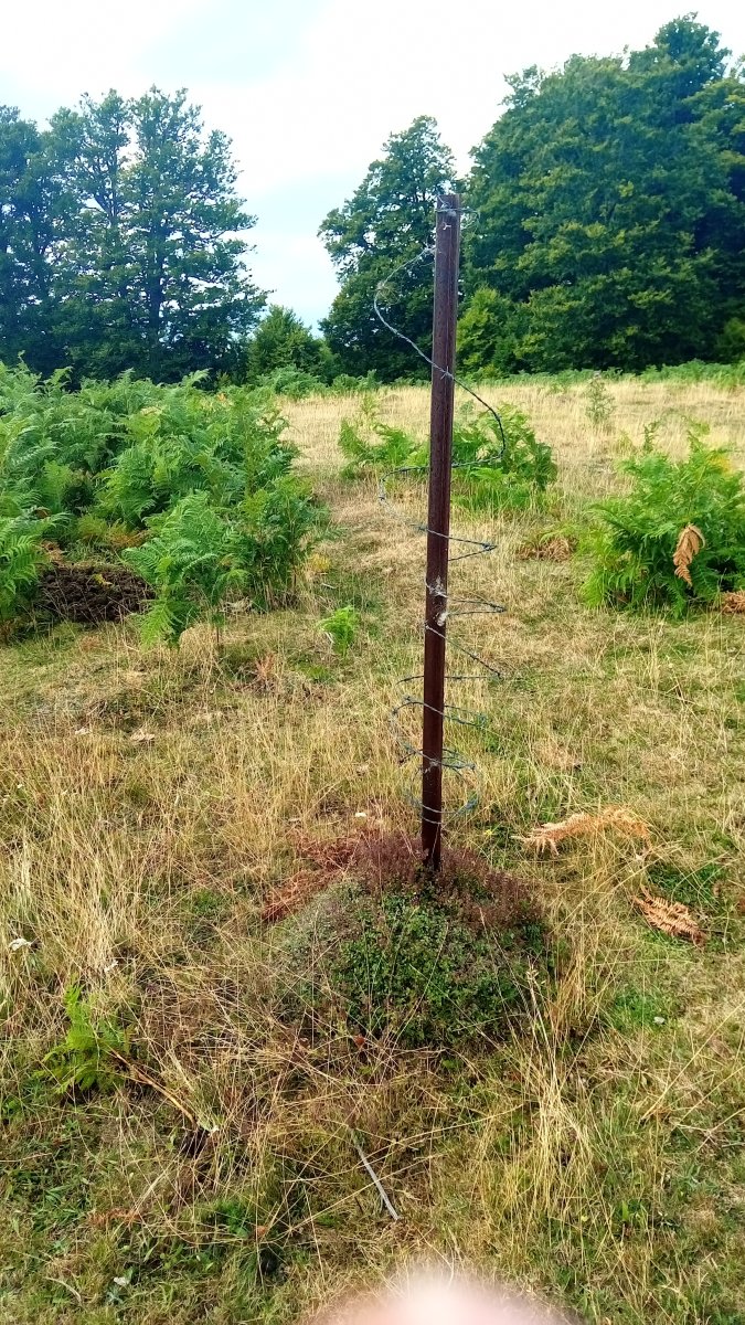 Iturruburua (1582m) tontorra